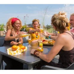 Hartman Tuinset Sophie Studio Xerix Met Sophie Tafel 170 -Goedkope Hortus Licht Winkel 13 4 hartman tuinset sophie studio xerix met sophie element tafel 170 x 100 xerix