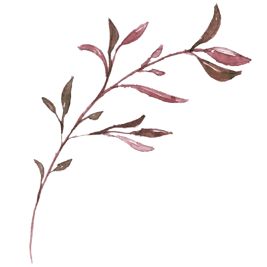 Goedkope Hortus Licht Winkel